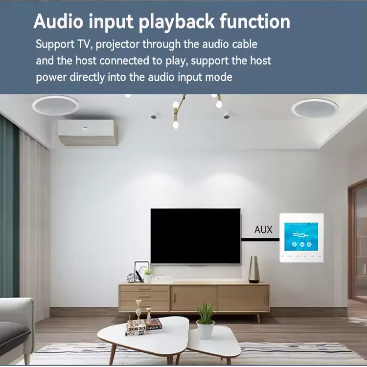 Домашний настенный усилитель B – обзор и цена Audio Music System For Home
